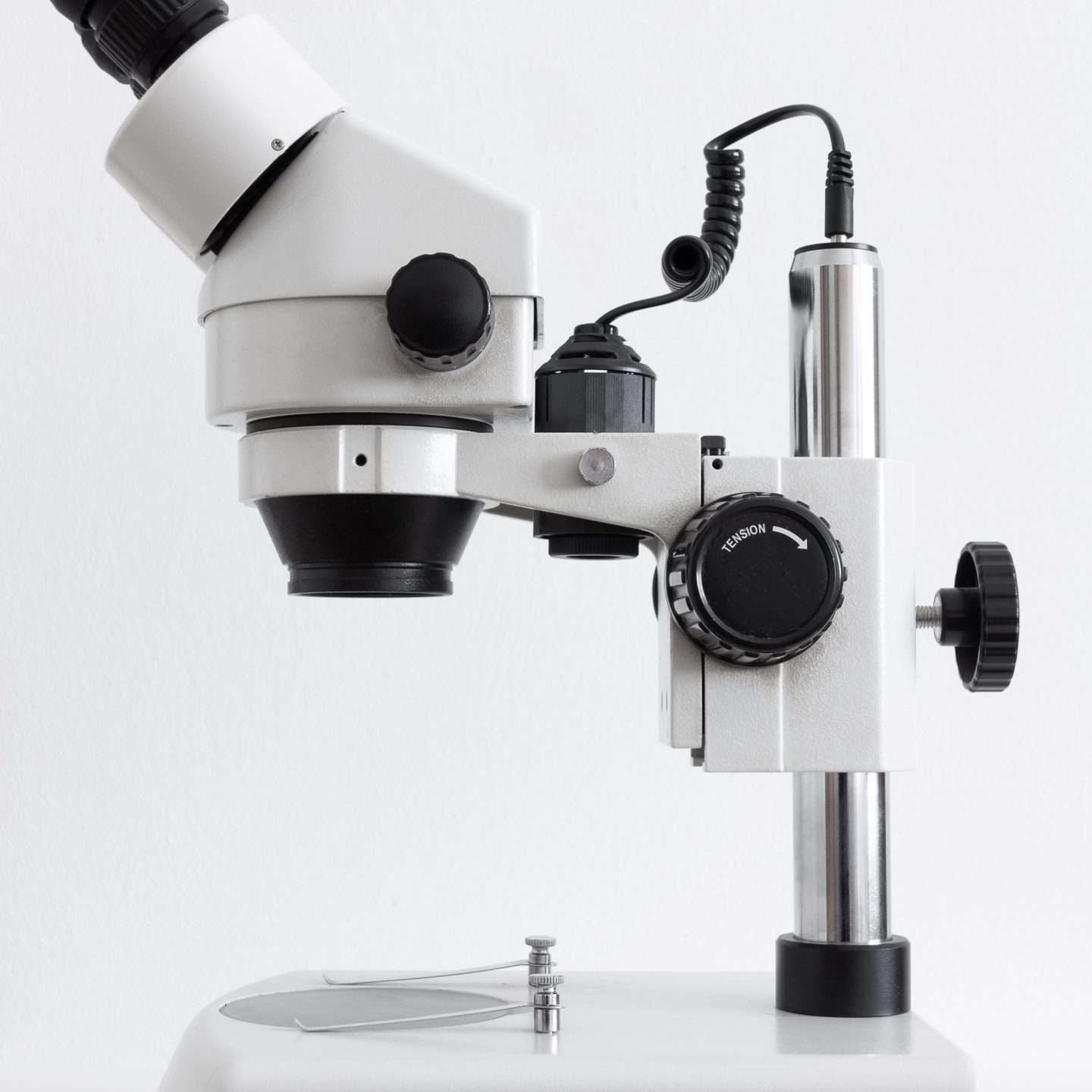 Gott hat sein Kreuzzeichen für alle sichtbar in jeden Menschen eingebaut! Laminin = Protein = Form Kreuz = Unterschrift von Jesus Christus