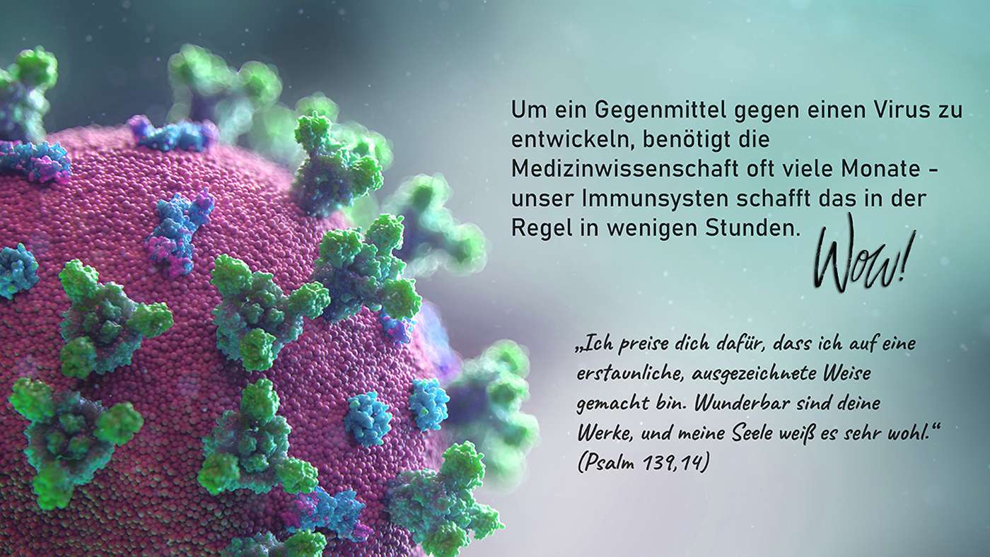 Das Immunsystem ist genial!