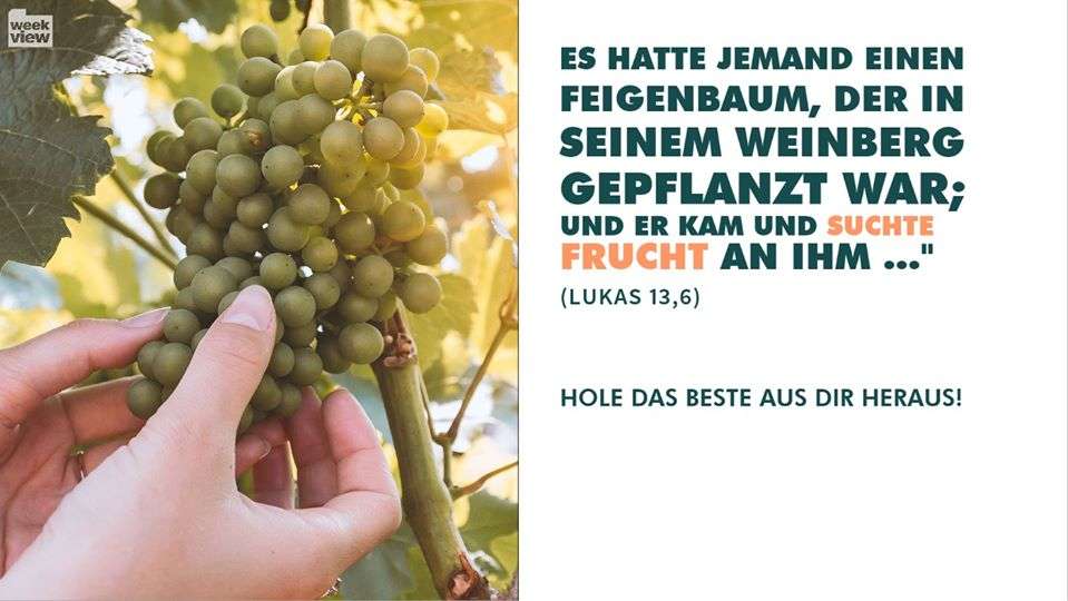 Nützlich sein !
