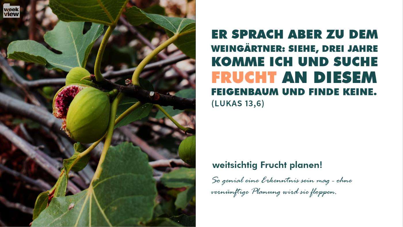 VERNUNFT BRINGT IDEEN ZUM GEHEN!