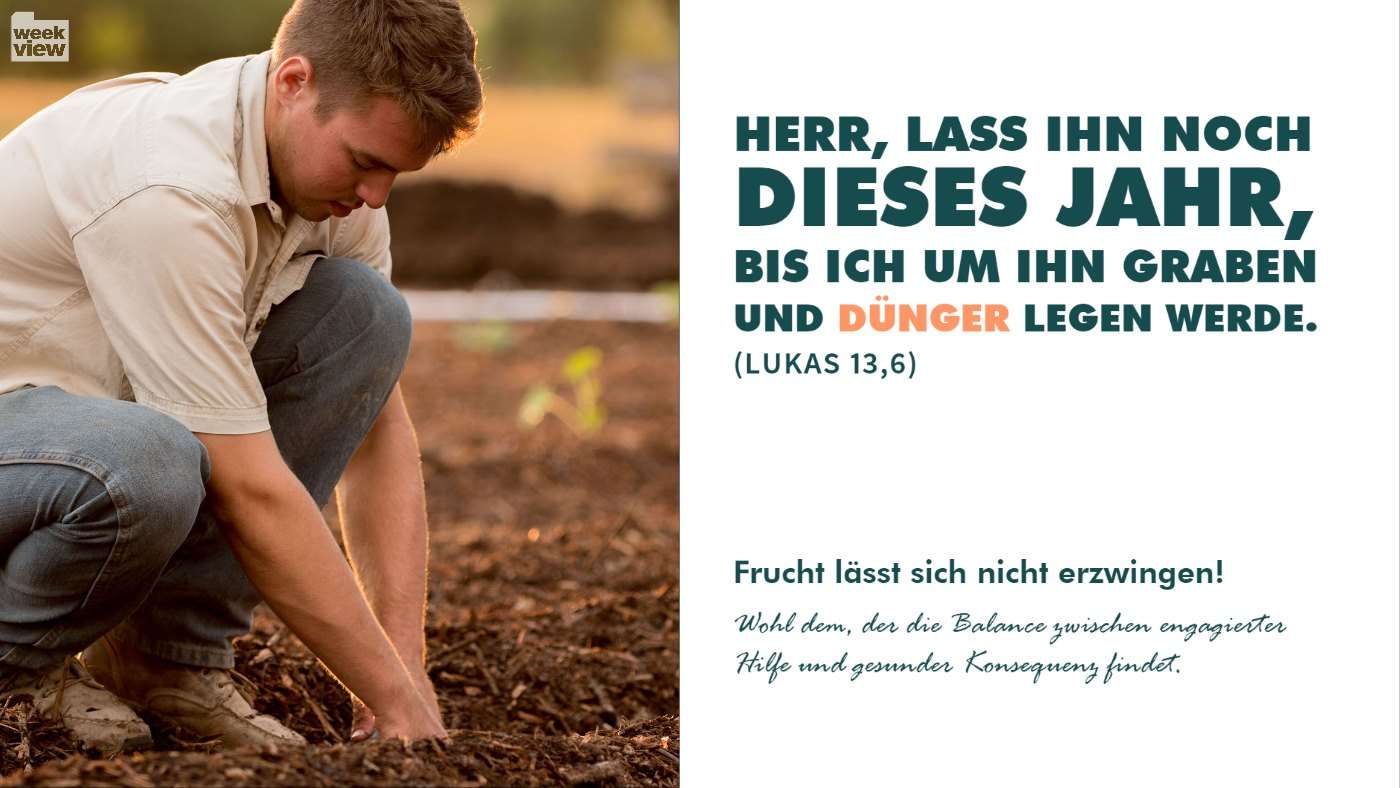 Frucht lässt sich nicht erzwingen!