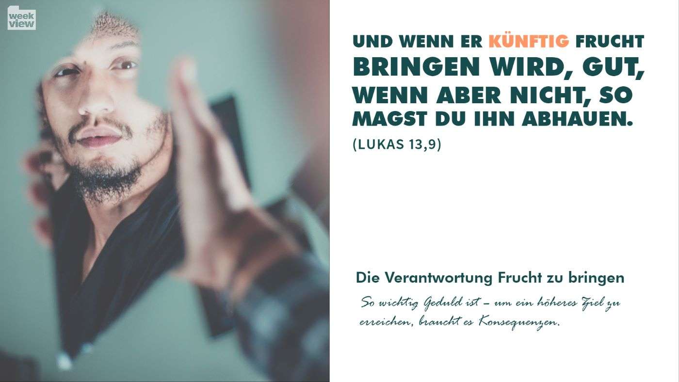 Die Verantwortung Frucht zu bringen