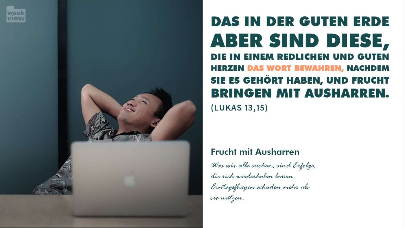 MEHR ALS EINE EINTAGSFLIEGE
