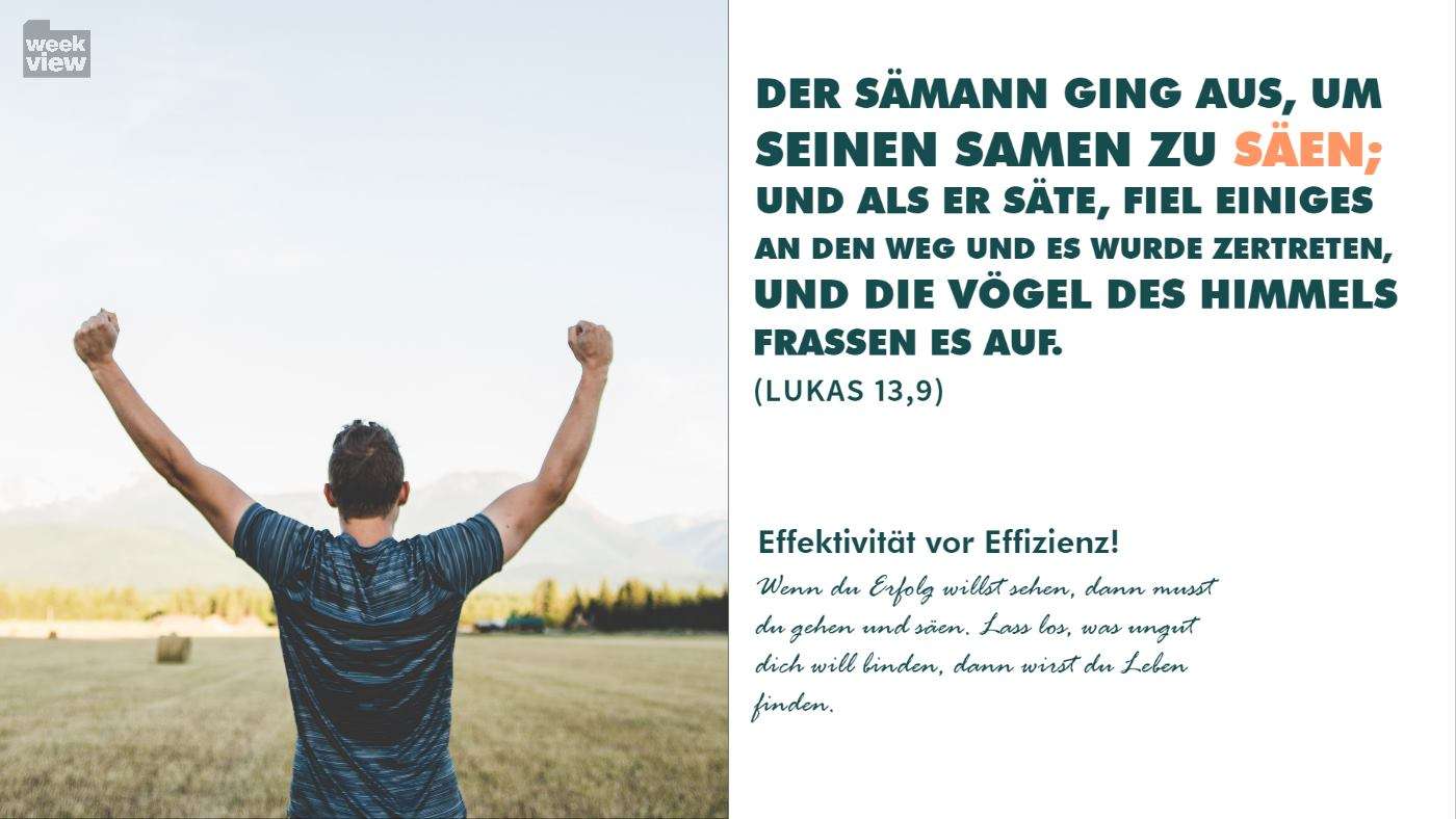 Effektivität vor Effizienz!