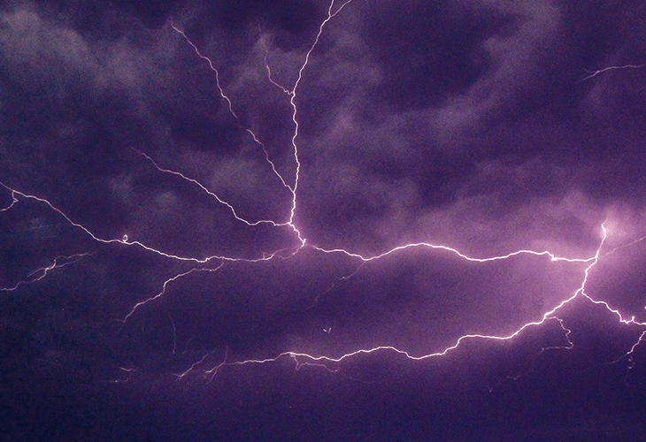 Wenn der Sturm losbricht, handelt jeder Mensch entsprechend seiner Natur. Manche verstummen vor Schrecken. Manche eilen davon. Manche verbergen sich.