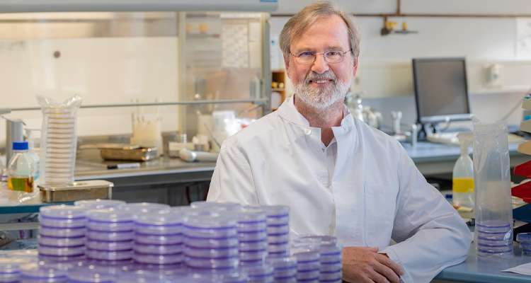 Wie viele biologische Geschlechter gibt es eigentlich? Prof. Siegfried Scherer (Biologe) hat eine klare Antwort.